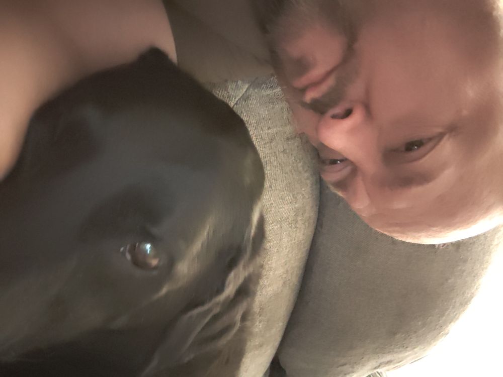 In-Person Psychic Dog Reading